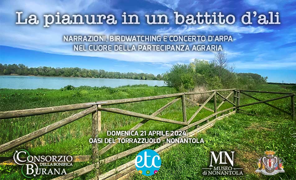 LA PIANURA IN UN BATTITO D'ALI
